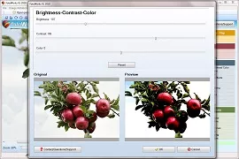 Easy Photo Editing Software for PC Easy Photo Editing Software for PC